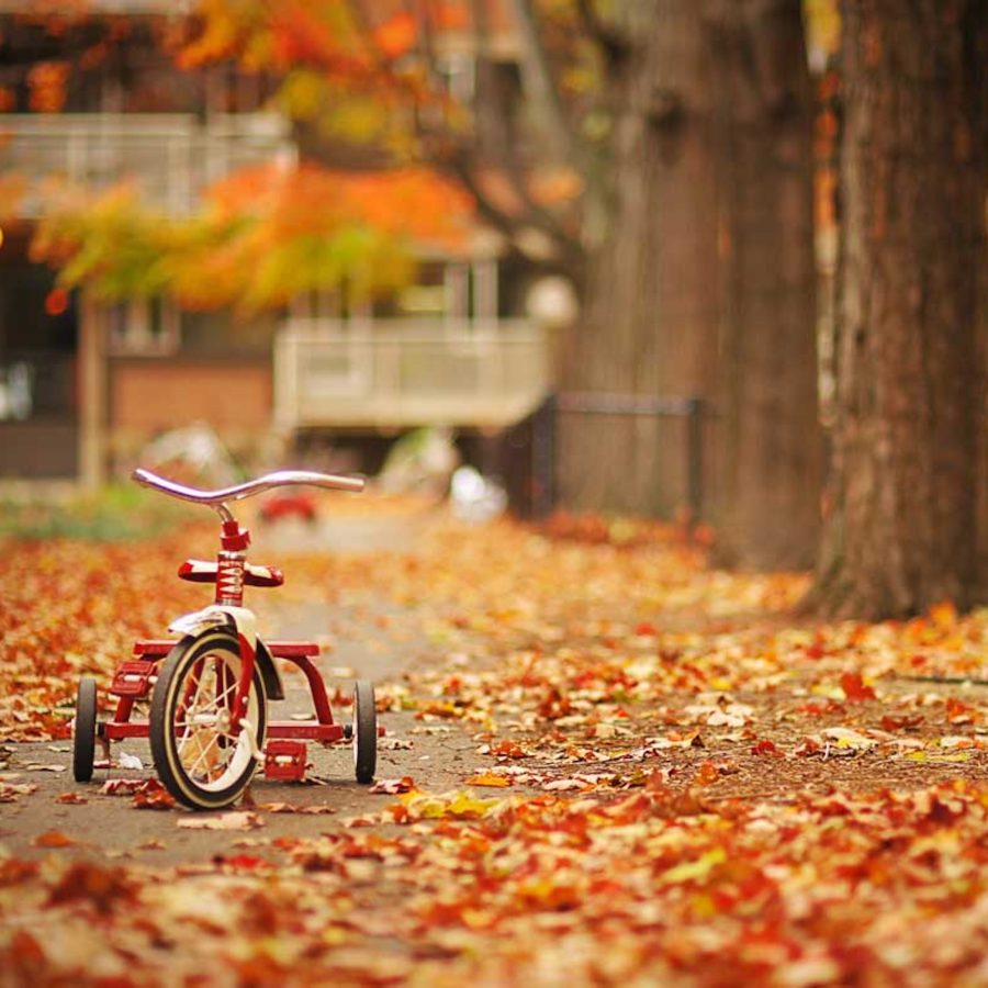 Childhood Revisited